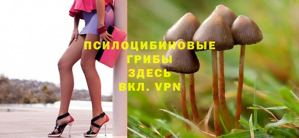 герыч Богородск