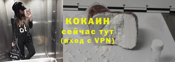 шишки Беломорск