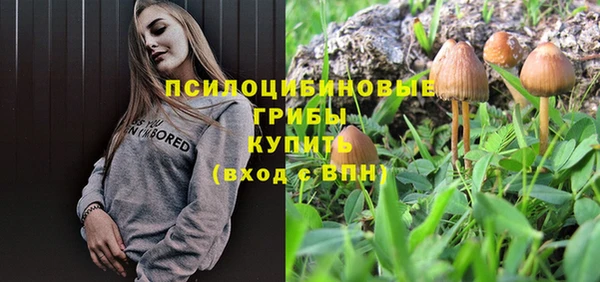 герыч Богородск