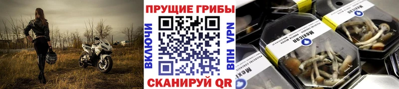 Галлюциногенные грибы MAGIC MUSHROOMS  Хадыженск 